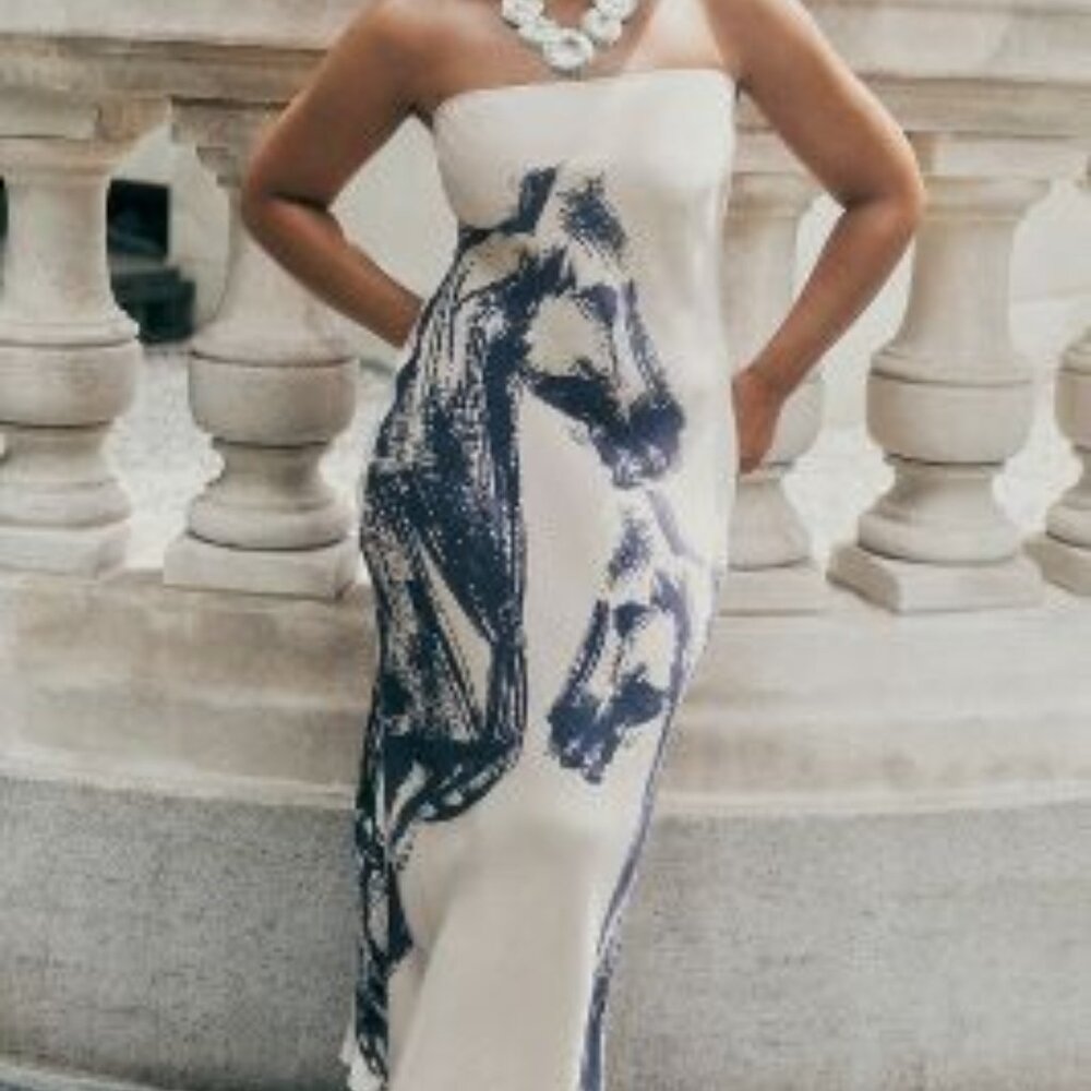 ISO (NFS) Anthropologie Conditions Apply Chloe Maxi Slip Dress HORSE COLOR